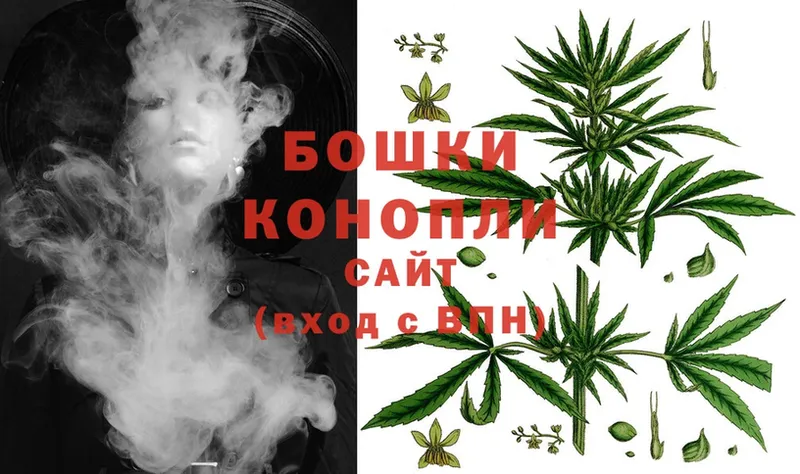 Бошки Шишки OG Kush  Далматово 